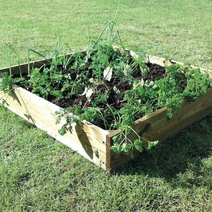 Grow Beds and Planters
